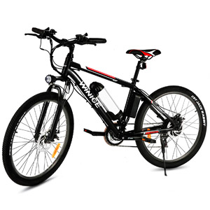 vivi-mountain-e-bike2